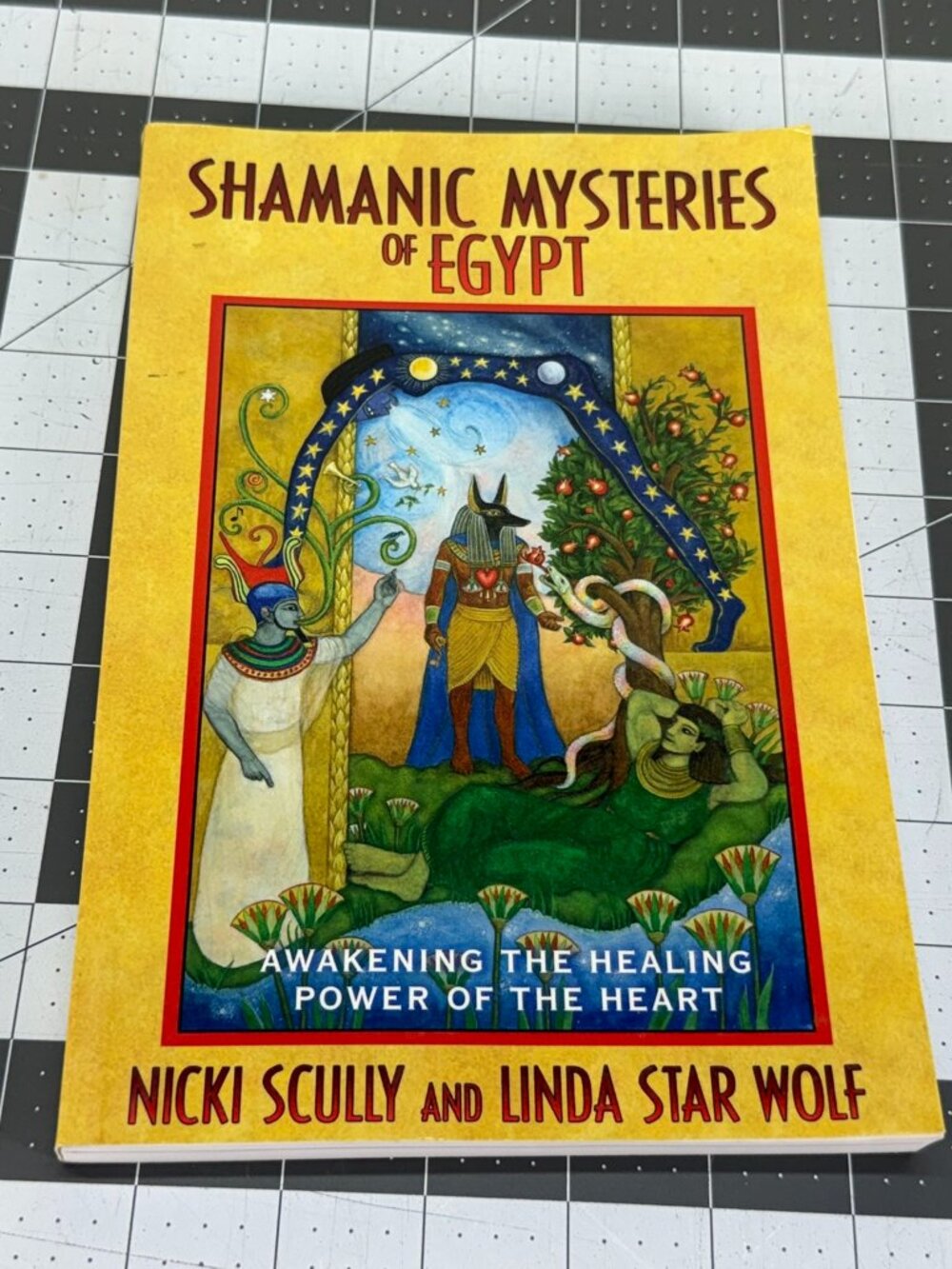Shamanic Mysteries of Egypt Nicki Scully Linda Star Wolf Spiritual Paperback Boo